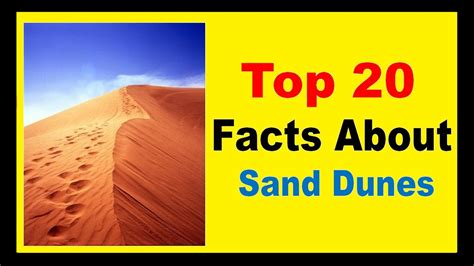 sand village ninja|fun facts about dunes.
